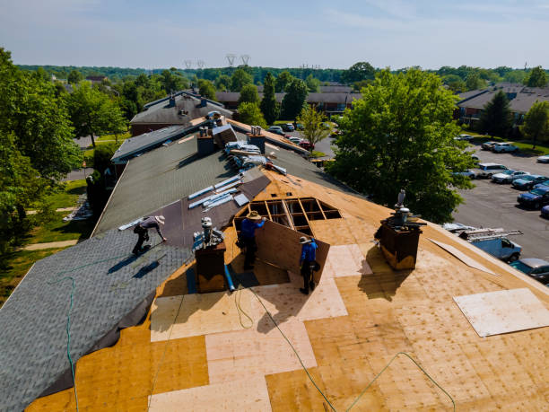 24/7 Emergency Storm Damage Roof Repair experts in Cofield, NC